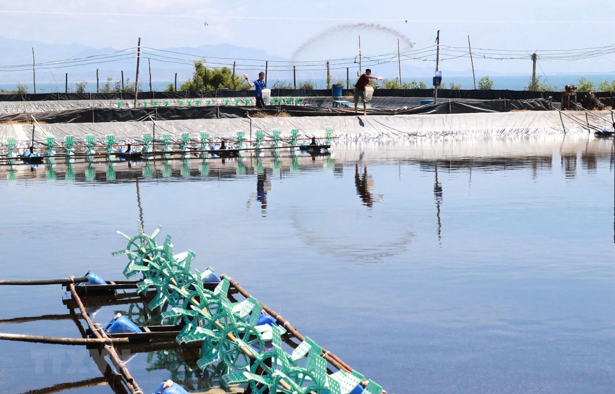 hệ thống quan trắc nước nuôi trồng thủy sản