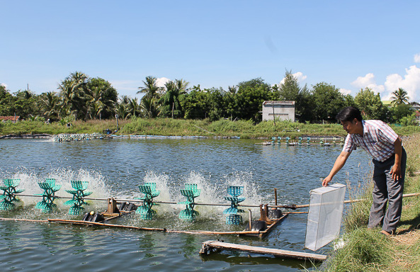 quan trắc nước nuôi trồng thủy sản